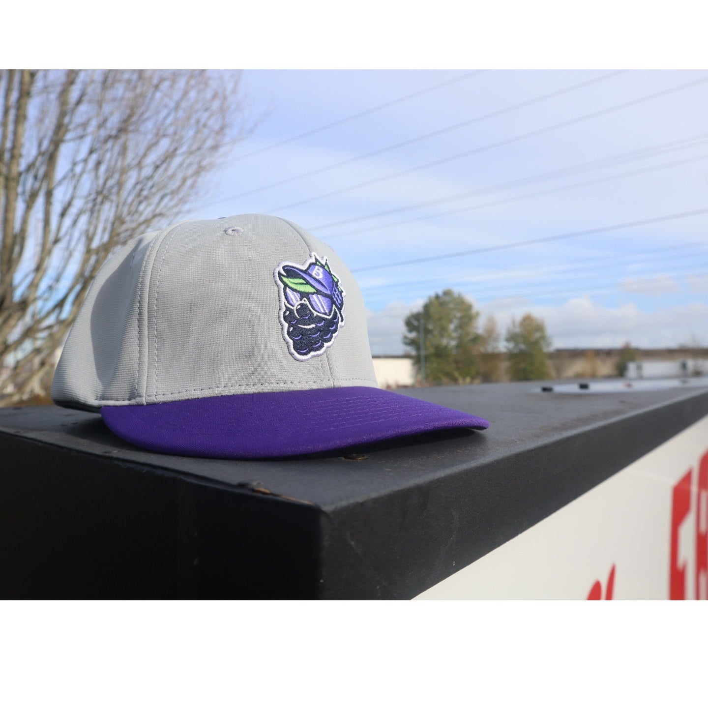 Grey/Purple Dingle Player Cap