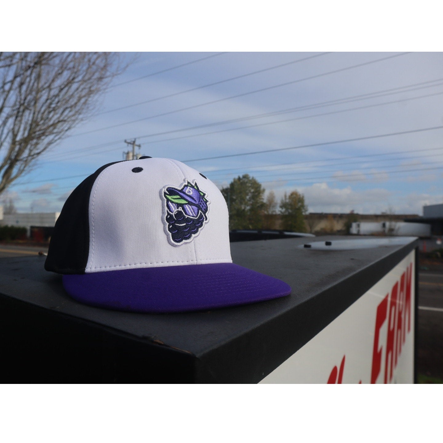 White/Purple/Black Dingle Player Cap