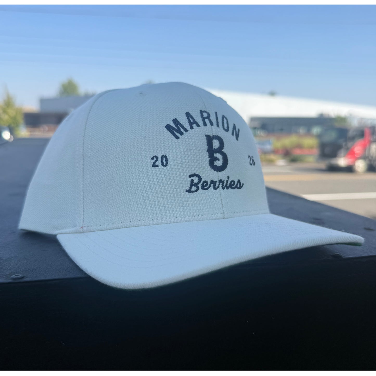 Cream Marion Berries B Cap