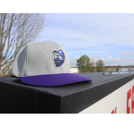 Grey/Purple Dingle Player Cap
