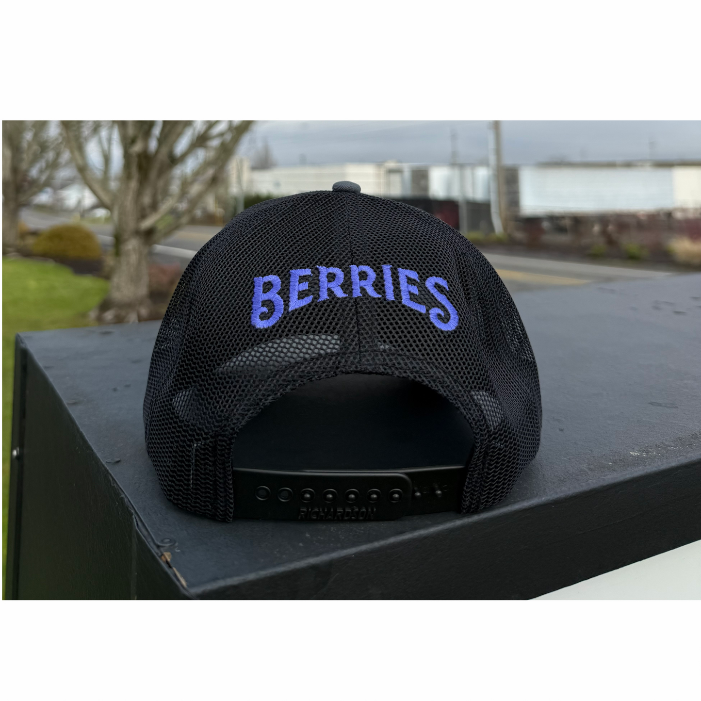 Charcoal Berry Trucker